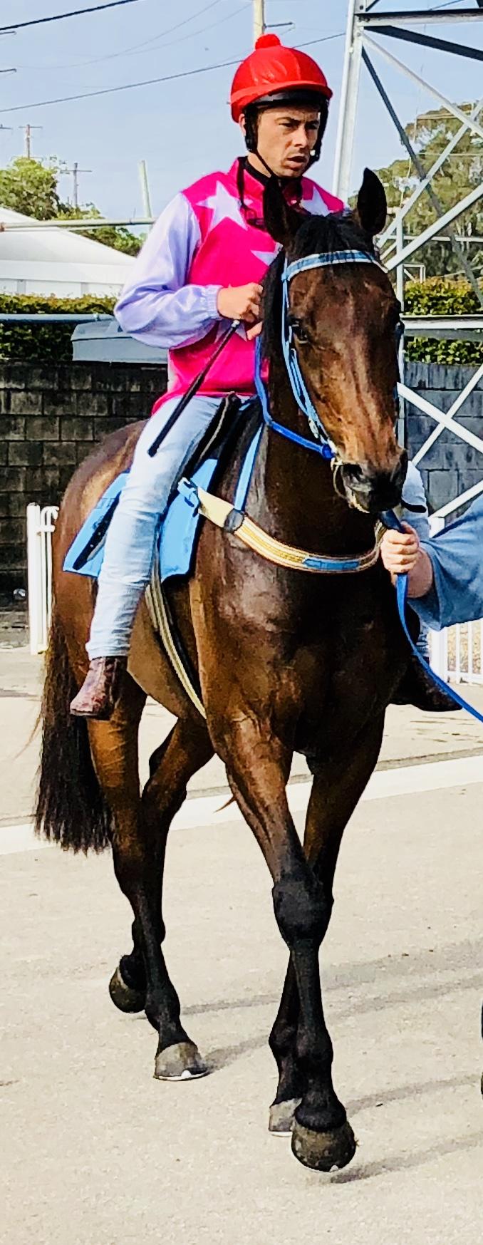 Australian Horse Trainer Kim Waugh Racing Stables