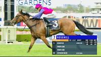 Newsfan Shows Electrifying Turn of Foot at Rosehill on Saturday