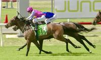 Fuchu on Target for Wyong on Wednesday!