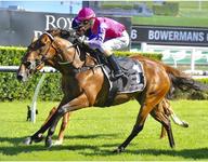 Fuchu Chalks up a Hat-trick at Randwick on New Years Day!