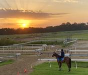 Fuchu to Enjoy Freshen before Targeting Provincial Championships!