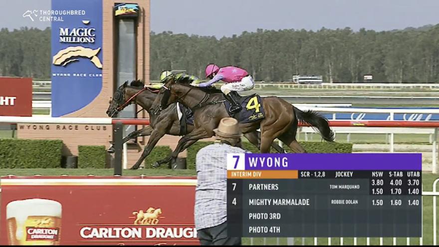 Mighty Marmalade Due for a Change of Luck!