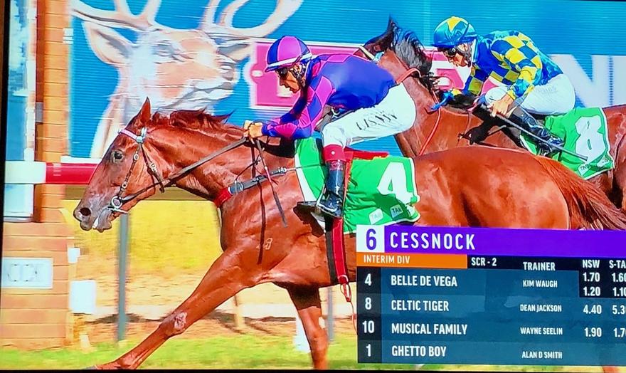 2 in a Row for Belle De Vega at Cessnock on Tuesday!