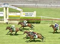 Equiseta Heads to Taree on Monday!
