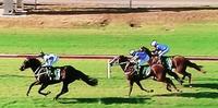 Back-to-back victories for Holy Reign!