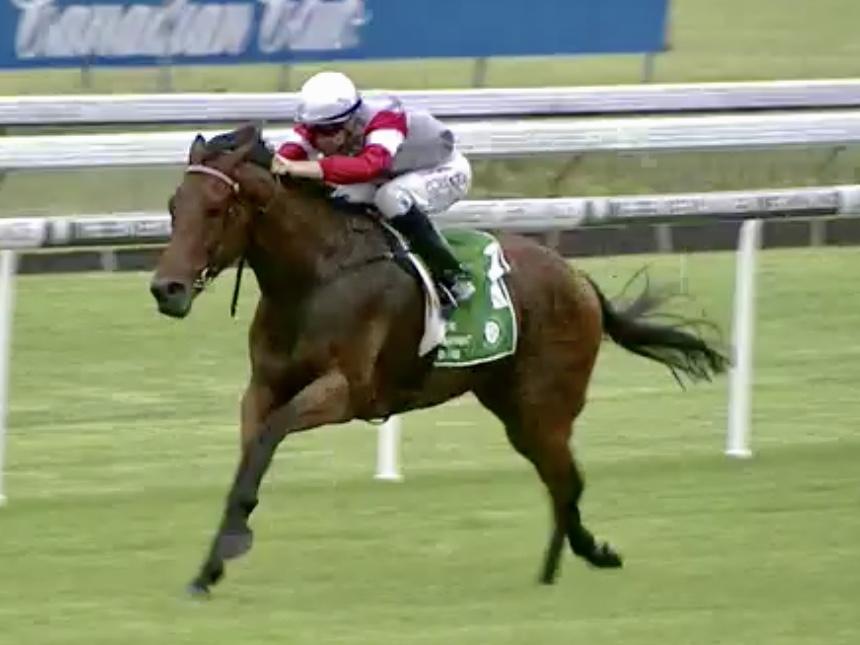 Safado Heads to the Big Smoke on Friday night!