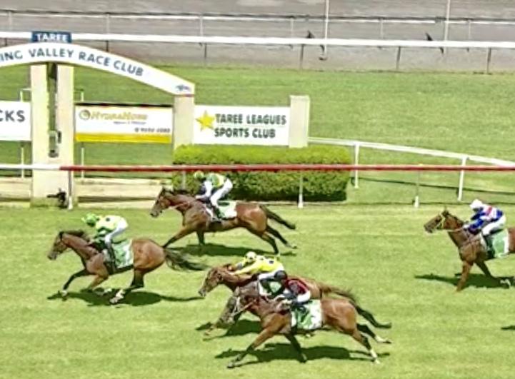 Dominant Maiden Win to Equiseta on Sunday at Taree