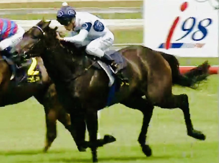 Exciting Maiden Victory to Holy Reign at Kembla on Tuesday!