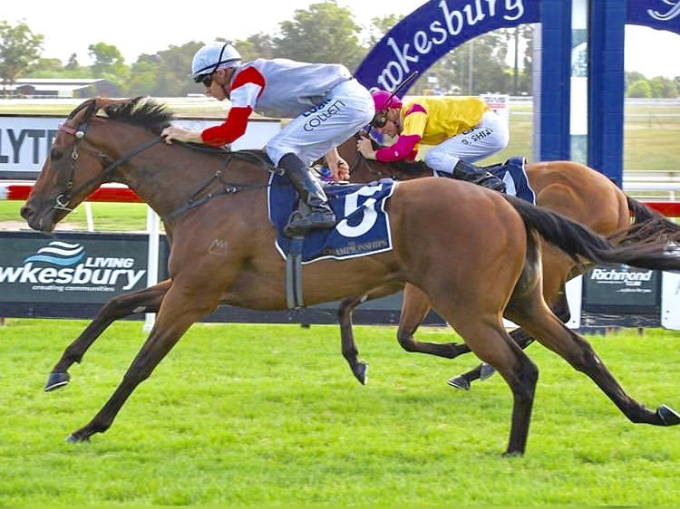 Stable Captures Quinella in First Heat of the Provincial Championships!