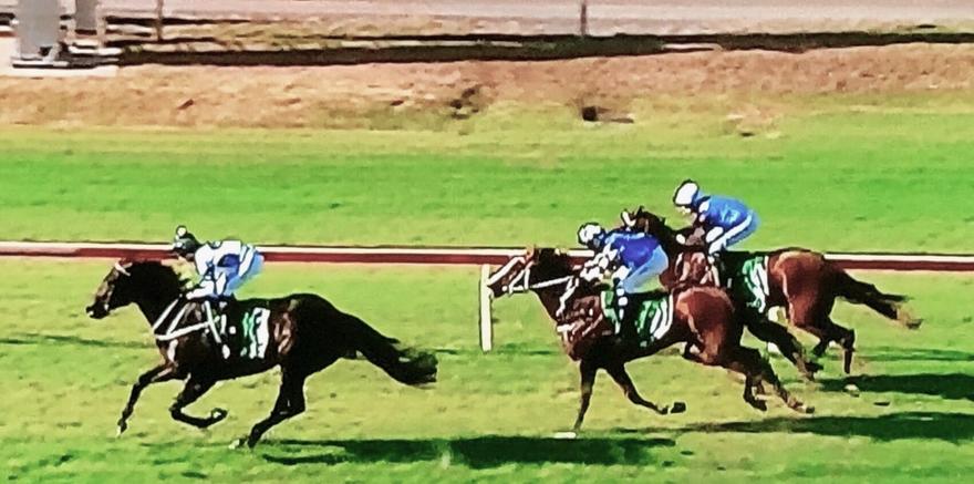 Back-to-back victories for Holy Reign!