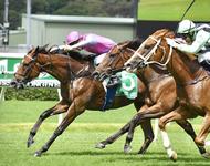 White Boots Finishes Gallant 2nd and Goathland 3rd in G3!