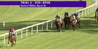 Celer Indicates He is Ready to Hit the Track following Easy Barrier Trial win!