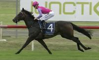 Talented Trumbull Steps out at Wyong on Thursday!