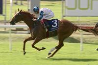 Seeingisbelieving on Target to run on Thursday at Gosford!