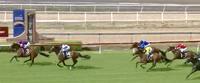 First 2yo Runners for the Stable Steal the Show at Wyong!