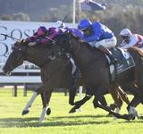 Win no 7 to White Boots on Wednesday at Gosford!