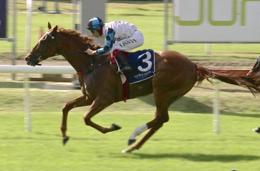Australian Horse Trainer Kim Waugh Racing Stables