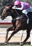 Exciting Day for the Stable at Rosehill this Weekend!