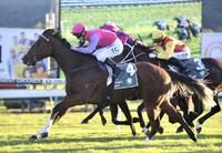 Celer Bounces Back into the Winners Circle at Gosford on Thursday!