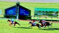 Well-deserved win to Seeingisbelieving at Scone