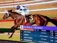 Holy Reign Wins 2nd-up at Kembla Grange!