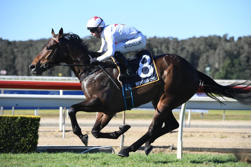 Australian Horse Trainer Kim Waugh Racing Stables