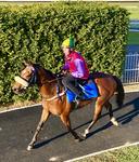 Ex Lloyd Williams horse on Target for Saturday at Randwick!