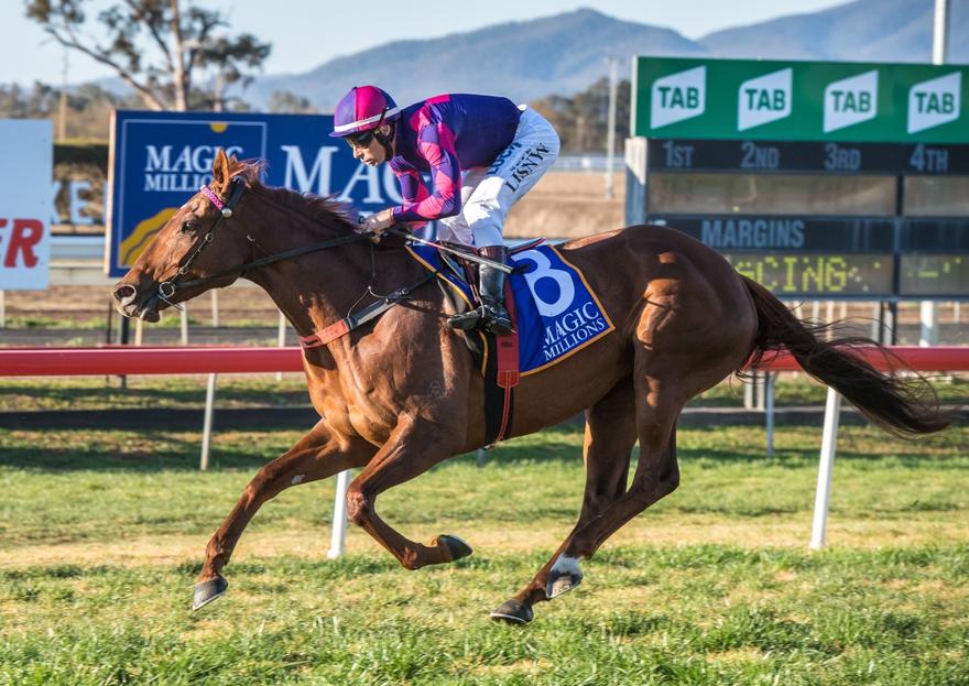 Australian Horse Trainer - Kim Waugh Racing Stables
