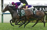 Erno Bounces Back into Winners Circle at Warwick Farm on Wednesday!