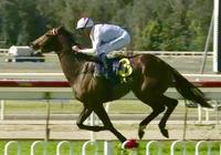 Sebonna Scores Impressive Maiden Win at Wyong on Sunday!