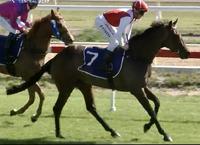 Sarah Elizabeth Scores Impressive Debut Win at Hawkesbury on Thursday!