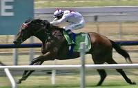 Impressive Winning Debut by Hussonbis at Newcastle today!