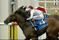 Another Impressive Win from Hussonibis today at Kembla Grange!