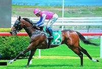 Hidden HIlls Scores Dominant Maiden Win!