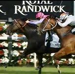 Talented Trumbull Scores Impressive First-up win at Randwick!