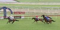 Trajection resumes with an easy victory at Hawkesbury on Saturday!