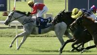Great Day out for the Stable at Newcastle on Tuesday!