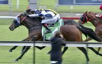 Trajection and Great News Continue Winning Runs!