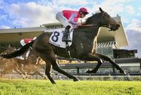 Well-deserved Stakes Win to Trumbull on Saturday at Rosehill
