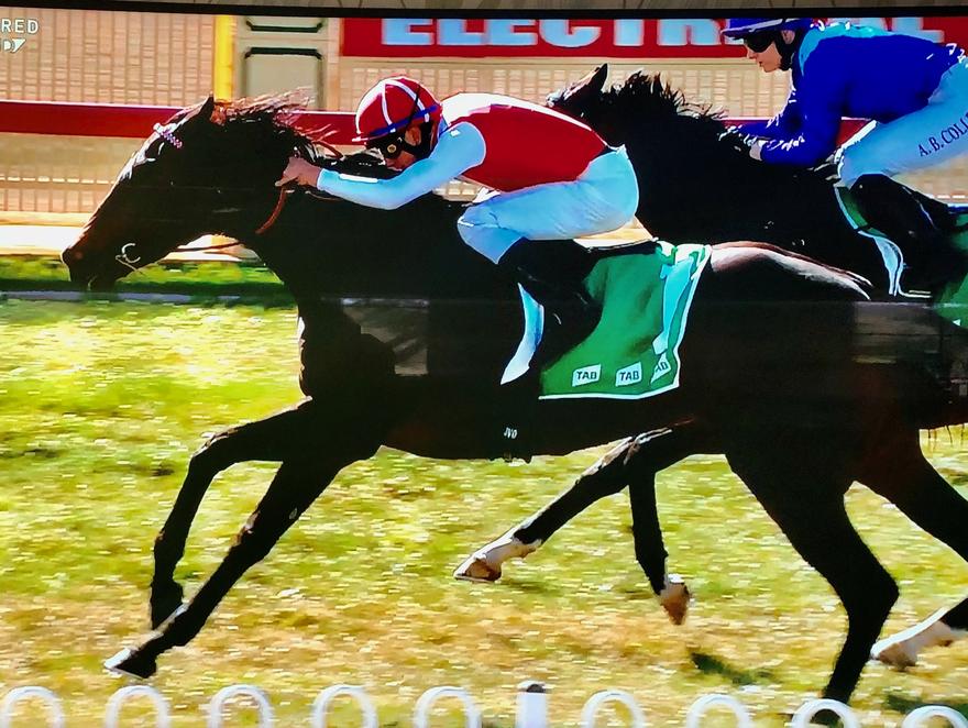 Australian Horse Trainer Kim Waugh Racing Stables