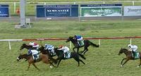 Seeingisbelieving makes it 2 Wins from 4 starts this Preparation!