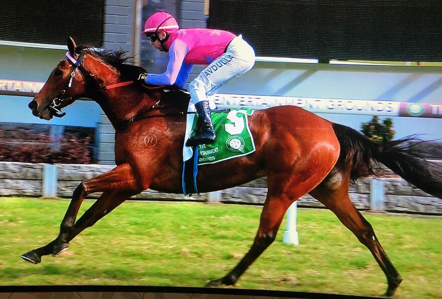 Australian Horse Trainer Kim Waugh Racing Stables