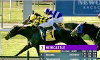 Blueblood Reaching Breaks Maiden at Newcastle!