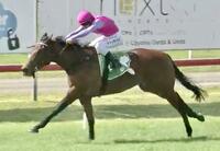 Princess Betty Wins by 3 Lengths at Newcastle on Saturday!