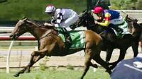Super Effort by Destacado to Win at Wyong following long Lay-off!