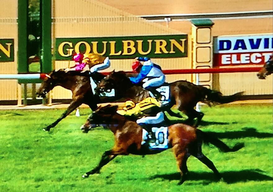 Australian Horse Trainer Kim Waugh Racing Stables