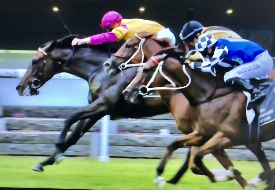 Australian Horse Trainer Kim Waugh Racing Stables