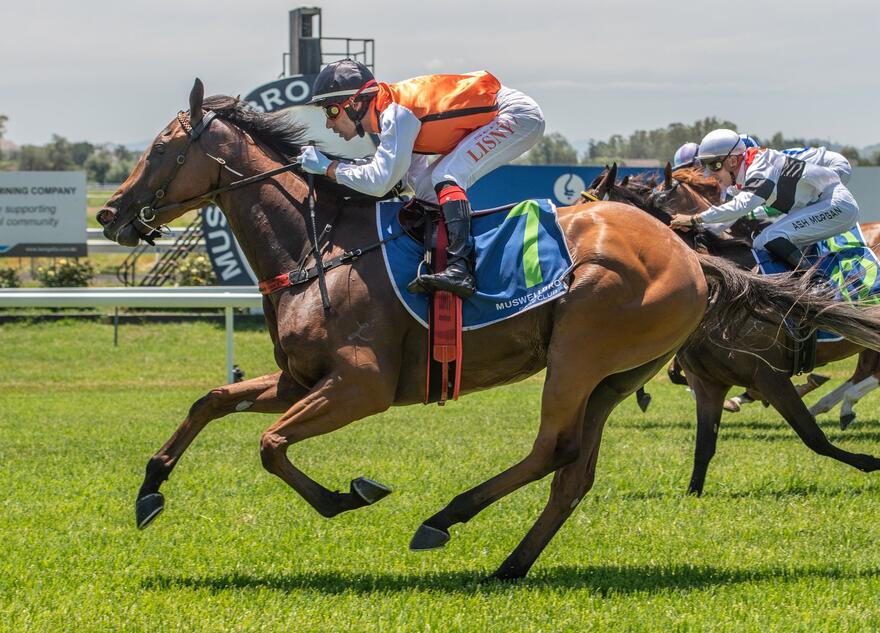 Australian Horse Trainer Kim Waugh Racing Stables