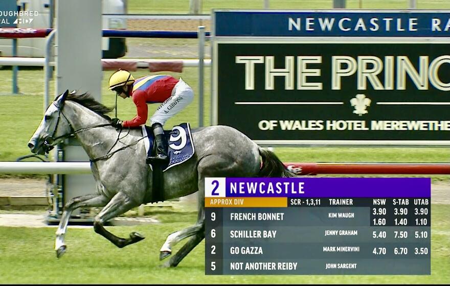 Australian Horse Trainer Kim Waugh Racing Stables