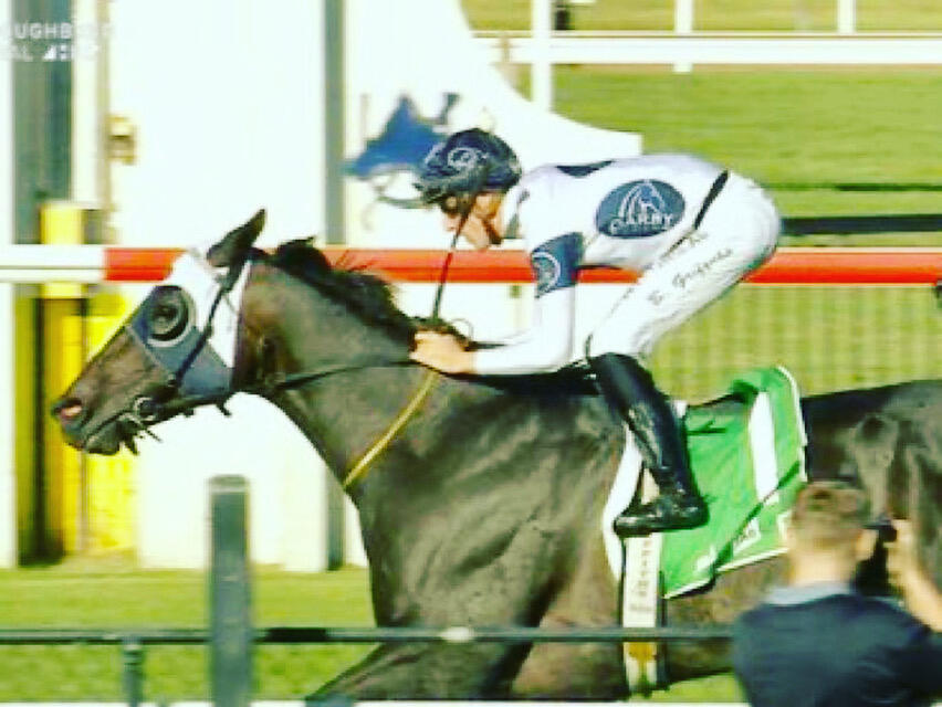 Australian Horse Trainer Kim Waugh Racing Stables